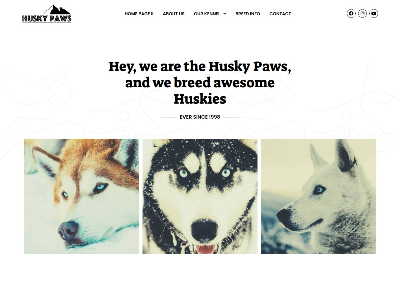 Create Pet Care Web Pages